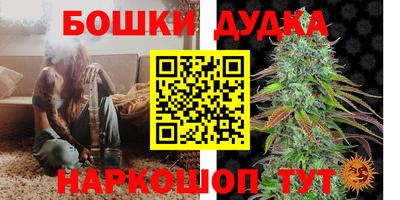 тгк Новодвинск