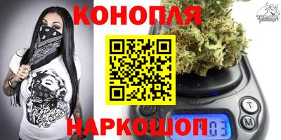тгк Новодвинск